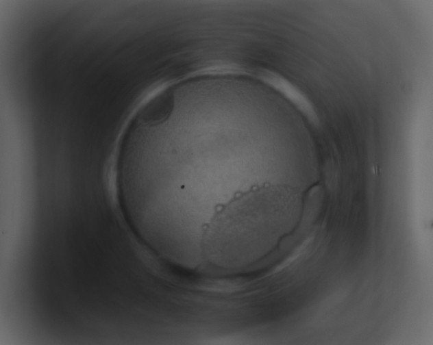 X0000101681229200807101414