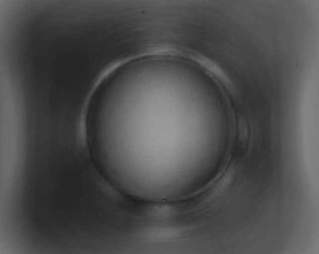 X0000101681230200807101414