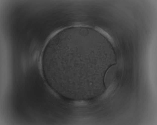 X0000101681231200807101414