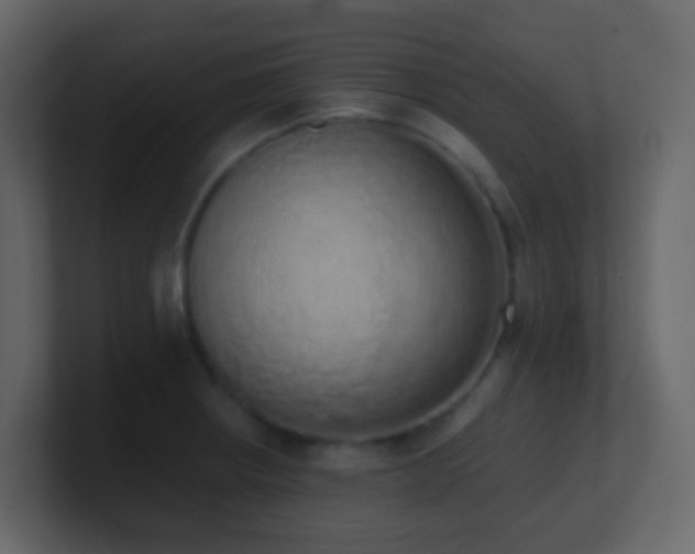 X0000101681234200807101414