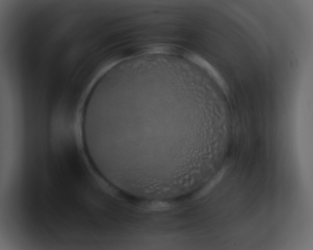 X0000101681235200807101414