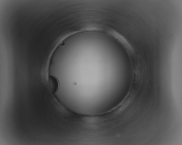 X0000101681236200807101415