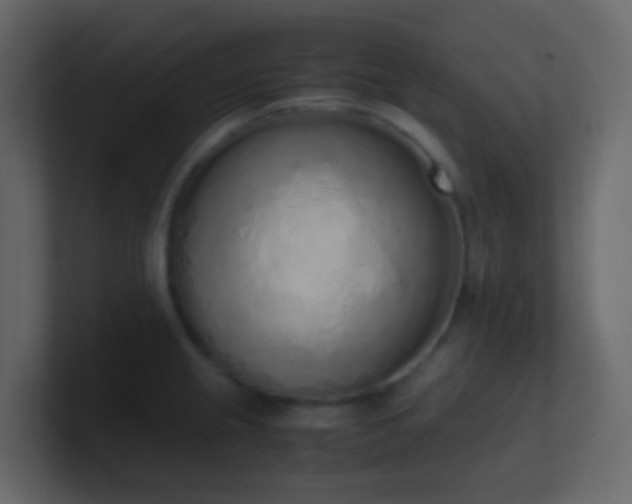 X0000101681237200807101415