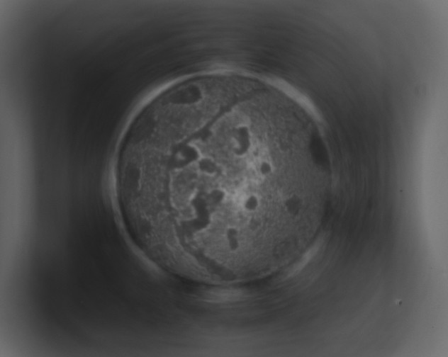 X0000101681239200807101415