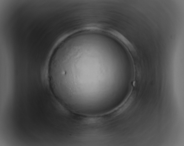 X0000101681240200807101415