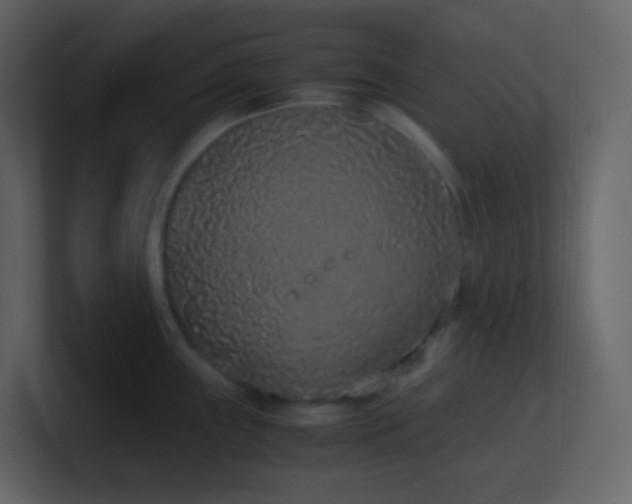 X0000101681243200807101415