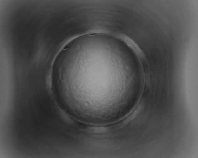 X0000101681244200807101415