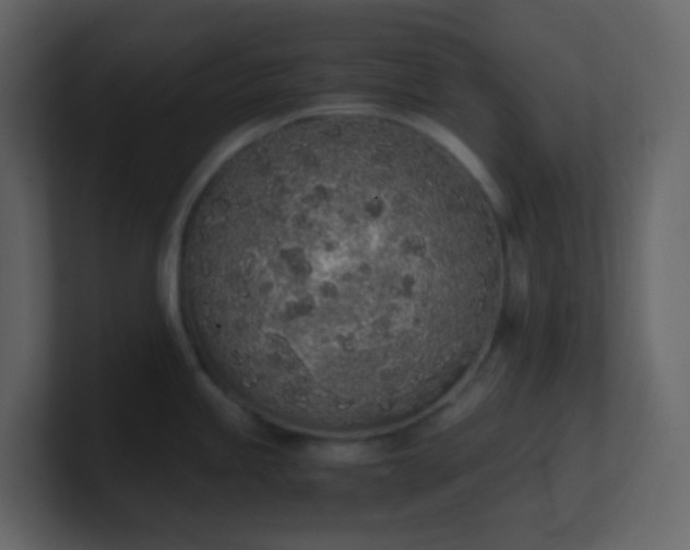 X0000101681245200807101415