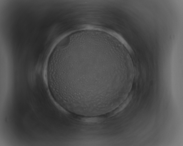 X0000101681247200807101415