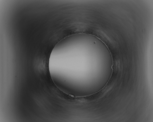 X0000101681250200807101414