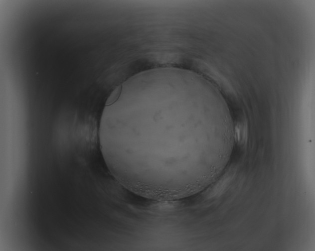 X0000101681251200807101414