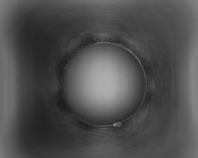 X0000101681253200807101414