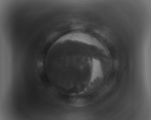 X0000101681254200807101414