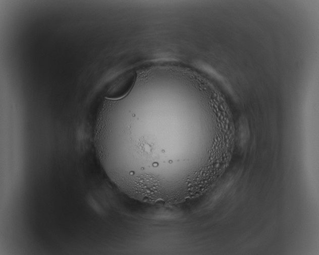 X0000101681255200807101414