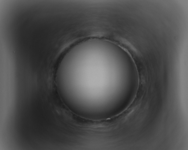 X0000101681256200807101414