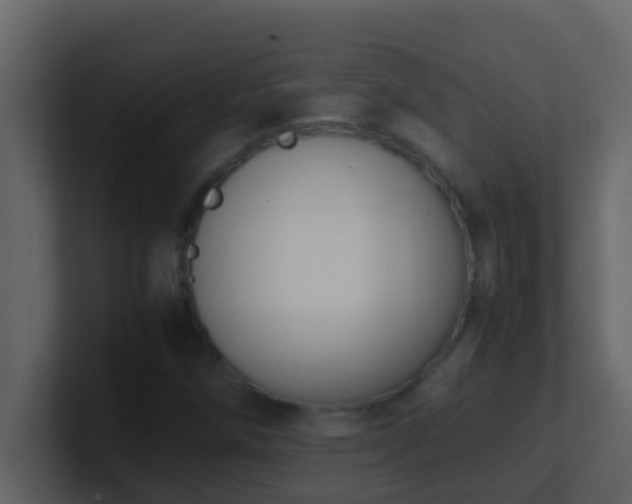 X0000101681258200807101414