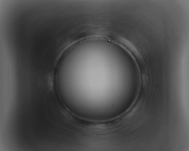 X0000101681260200807101414