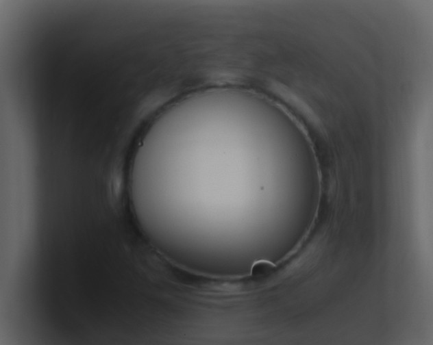 X0000101681261200807101414