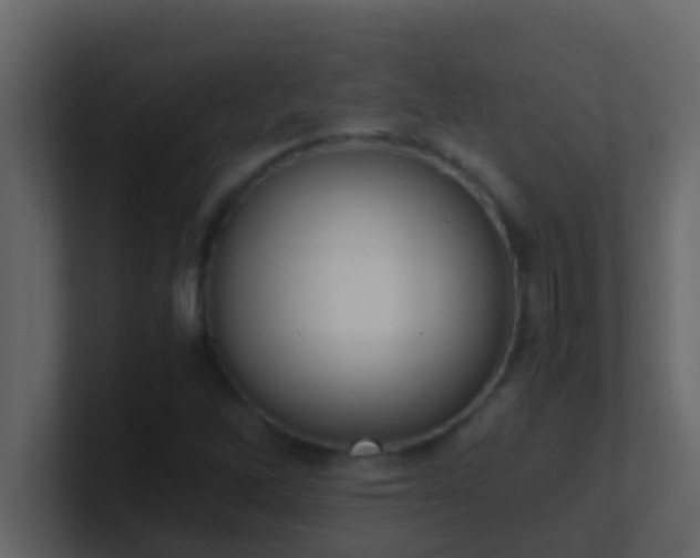 X0000101681262200807101414