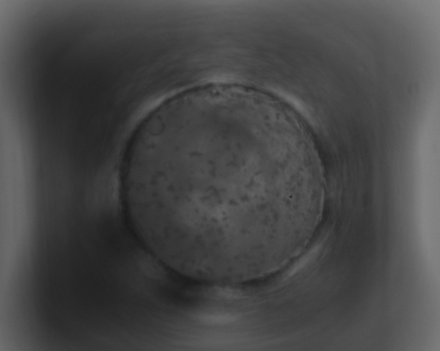 X0000101681263200807101414