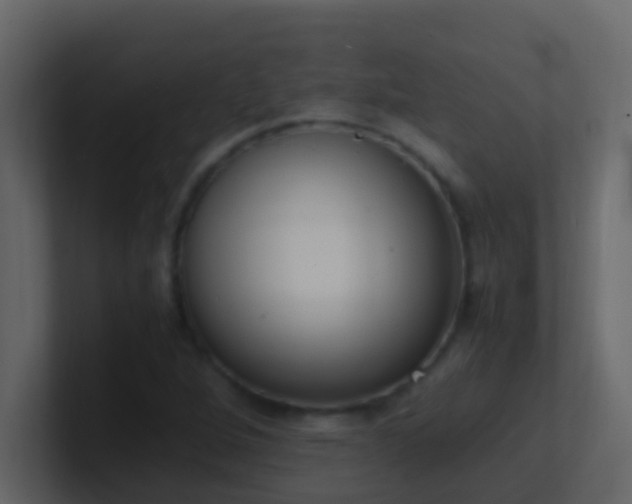 X0000101681264200807101414