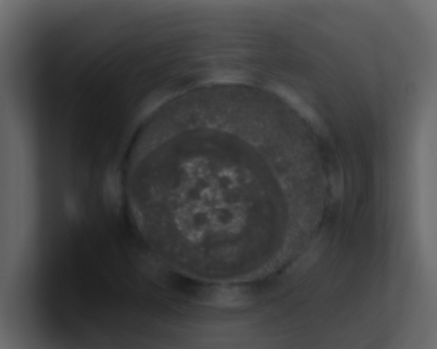 X0000101681266200807101414