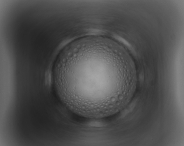 X0000101681267200807101414