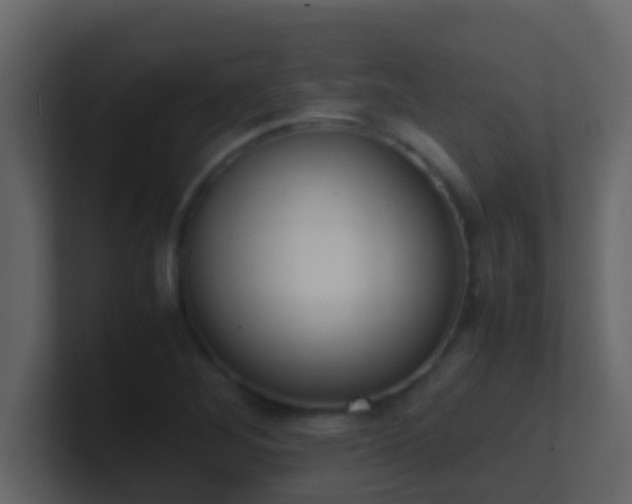 X0000101681268200807101414