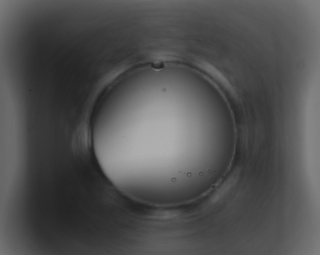 X0000101681269200807101414