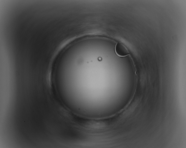 X0000101681270200807101414