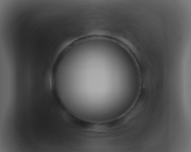 X0000101681271200807101414