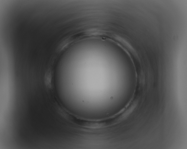 X0000101681273200807101414