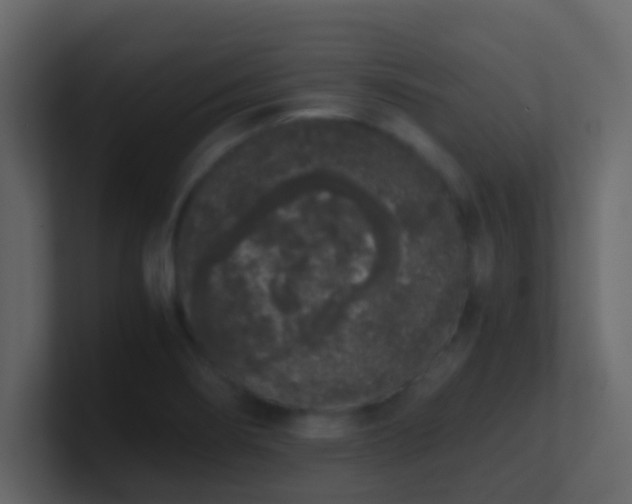 X0000101681274200807101414