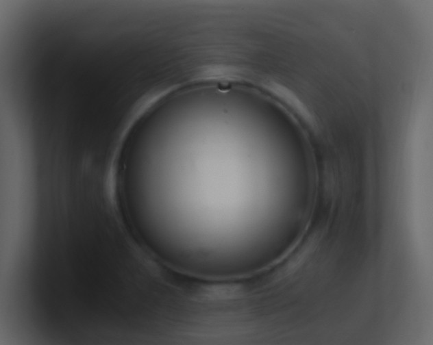 X0000101681277200807101414