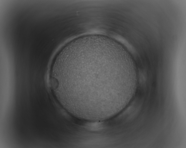 X0000101681278200807101414