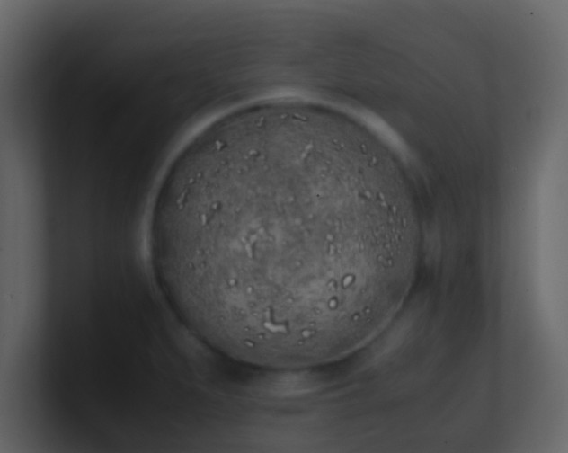 X0000101681279200807101414