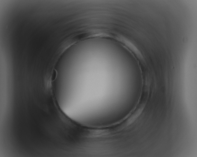 X0000101681281200807101414