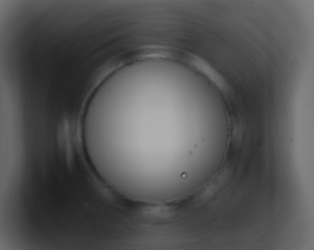 X0000101681282200807101414