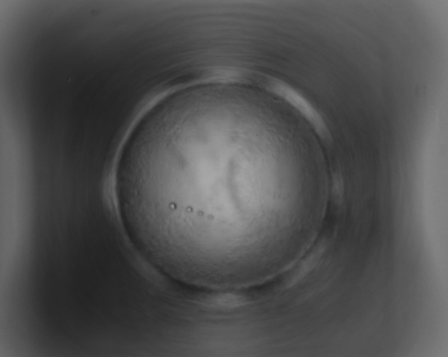 X0000101681283200807101414