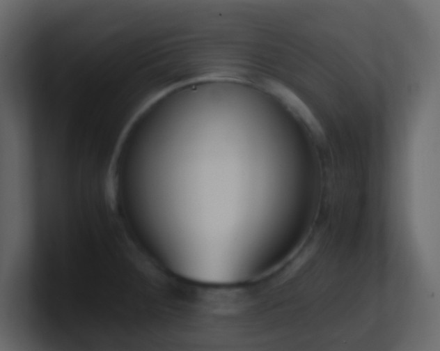 X0000101681284200807101414