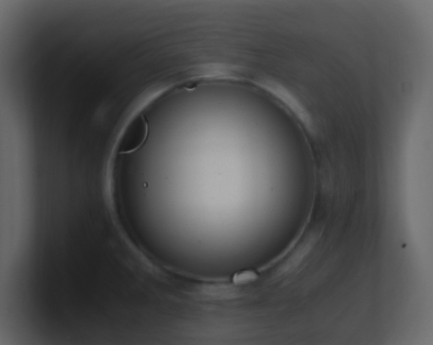 X0000101681285200807101414