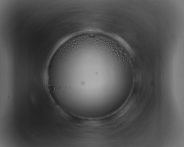 X0000101681287200807101413