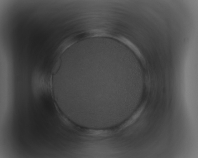 X0000101681289200807101413