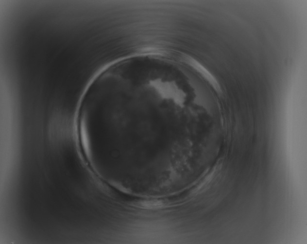 X0000101681291200807101413