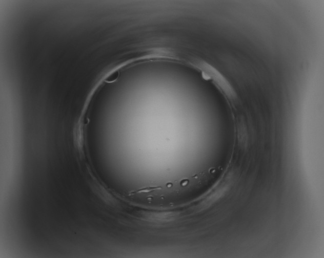 X0000101681292200807101413