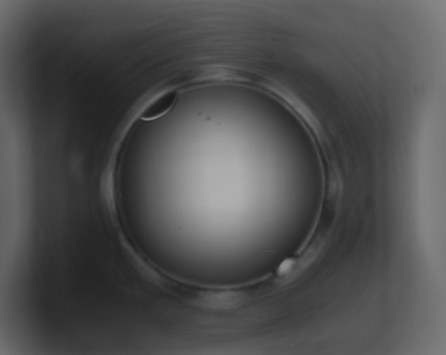 X0000101681293200807101413