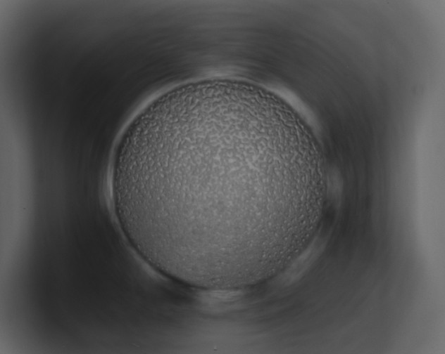 X0000101681294200807101413