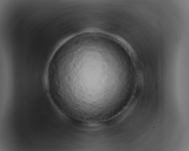 X0000101681295200807101413