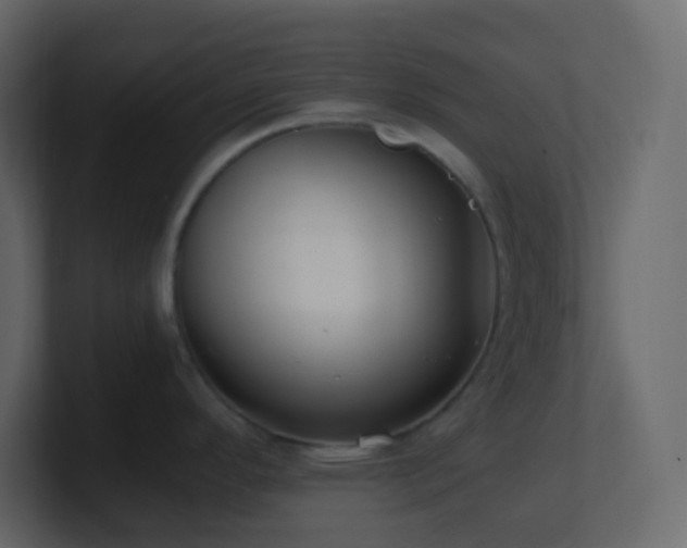 X0000101681296200807101413