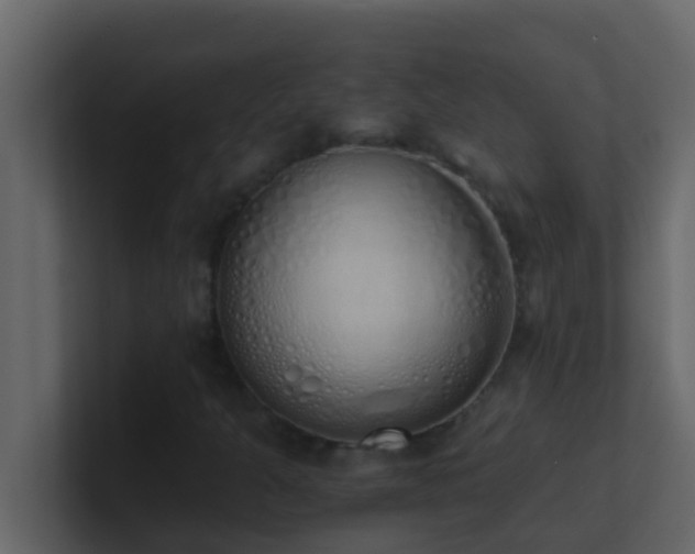 X0000101681301200807101413